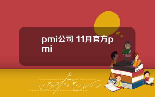 pmi公司 11月官方pmi