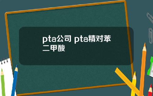 pta公司 pta精对苯二甲酸