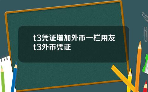 t3凭证增加外币一栏用友t3外币凭证
