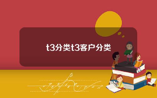 t3分类t3客户分类