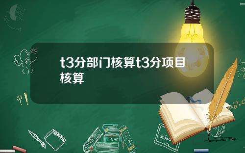 t3分部门核算t3分项目核算