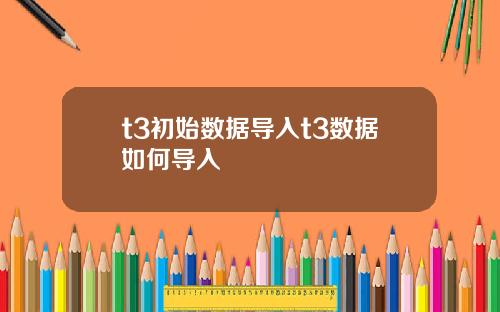 t3初始数据导入t3数据如何导入