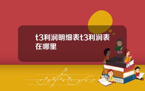 t3利润明细表t3利润表在哪里