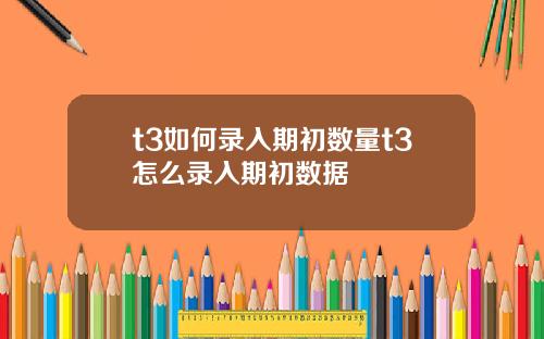 t3如何录入期初数量t3怎么录入期初数据