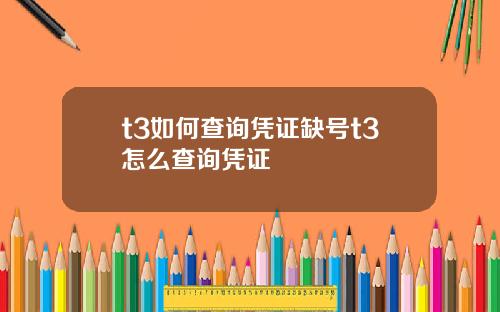 t3如何查询凭证缺号t3怎么查询凭证