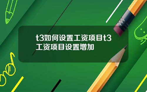 t3如何设置工资项目t3工资项目设置增加