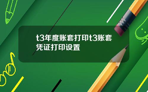 t3年度账套打印t3账套凭证打印设置