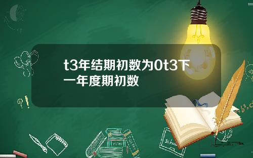 t3年结期初数为0t3下一年度期初数