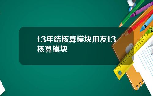 t3年结核算模块用友t3核算模块