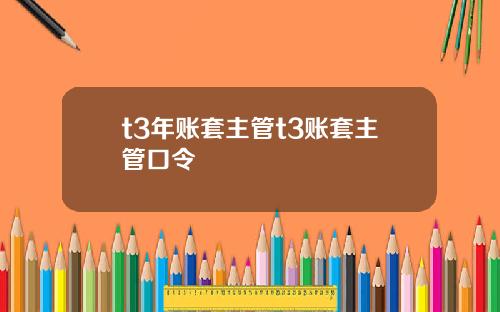 t3年账套主管t3账套主管口令