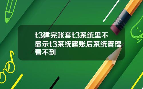 t3建完账套t3系统里不显示t3系统建账后系统管理看不到