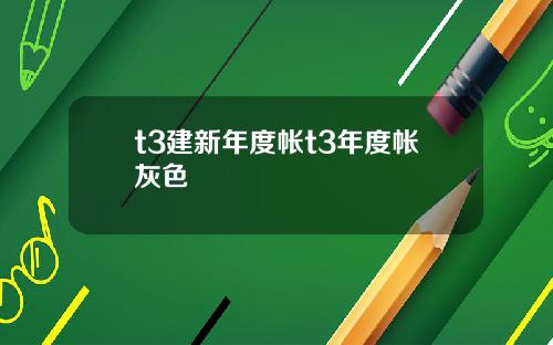 t3建新年度帐t3年度帐灰色