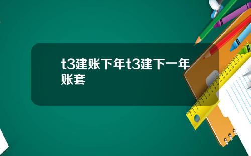 t3建账下年t3建下一年账套