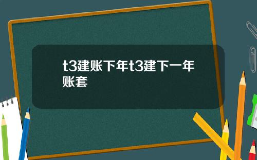 t3建账下年t3建下一年账套