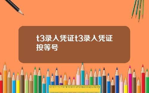 t3录入凭证t3录入凭证按等号