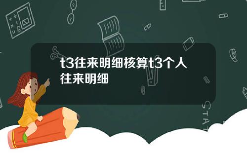 t3往来明细核算t3个人往来明细