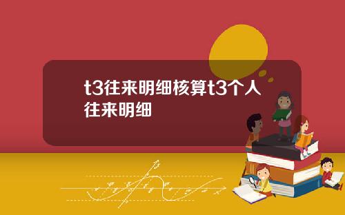 t3往来明细核算t3个人往来明细