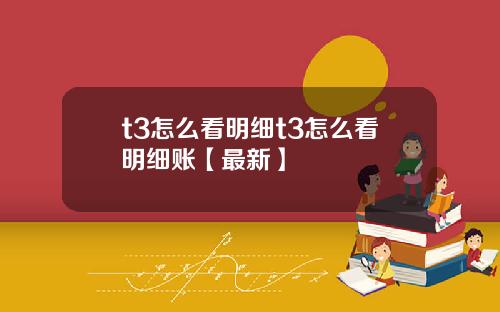 t3怎么看明细t3怎么看明细账【最新】