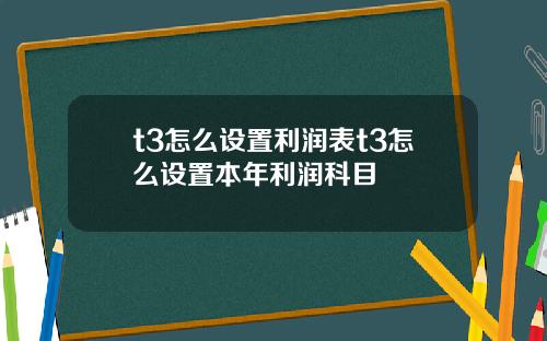 t3怎么设置利润表t3怎么设置本年利润科目