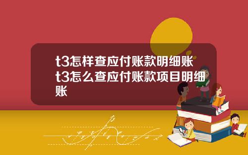 t3怎样查应付账款明细账t3怎么查应付账款项目明细账
