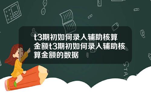 t3期初如何录入辅助核算金额t3期初如何录入辅助核算金额的数据