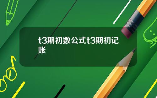 t3期初数公式t3期初记账