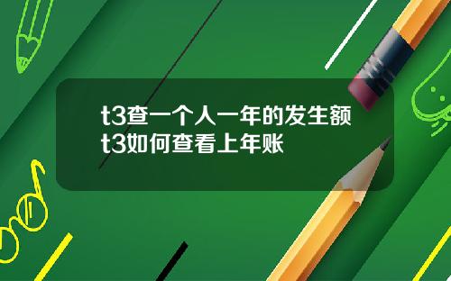 t3查一个人一年的发生额t3如何查看上年账