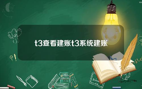 t3查看建账t3系统建账