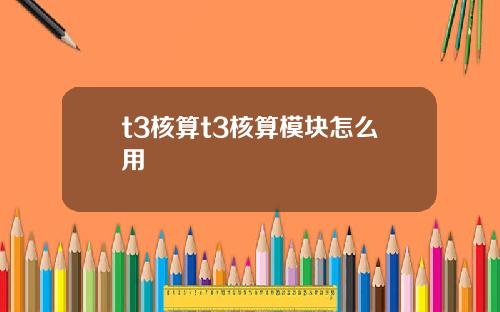 t3核算t3核算模块怎么用