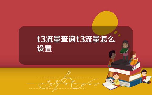 t3流量查询t3流量怎么设置