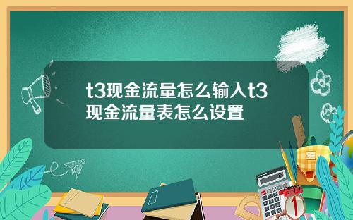 t3现金流量怎么输入t3现金流量表怎么设置