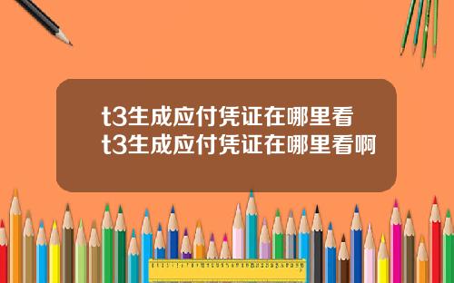 t3生成应付凭证在哪里看t3生成应付凭证在哪里看啊
