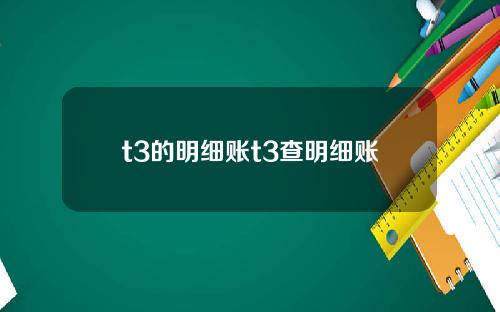 t3的明细账t3查明细账
