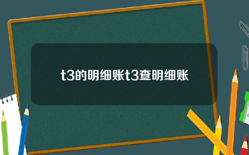 t3的明细账t3查明细账