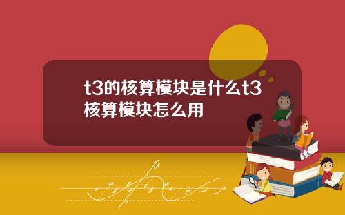 t3的核算模块是什么t3核算模块怎么用