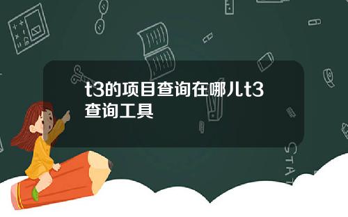 t3的项目查询在哪儿t3查询工具