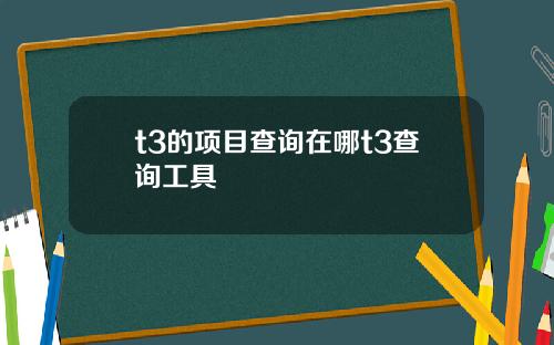t3的项目查询在哪t3查询工具