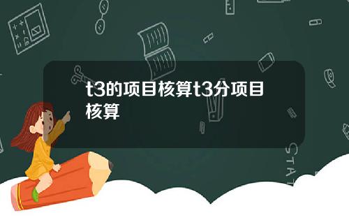 t3的项目核算t3分项目核算