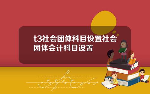 t3社会团体科目设置社会团体会计科目设置