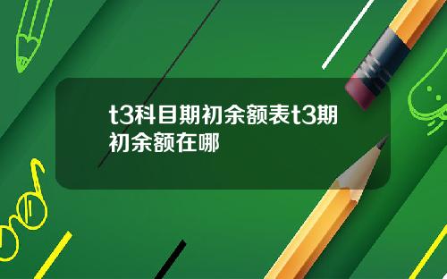 t3科目期初余额表t3期初余额在哪