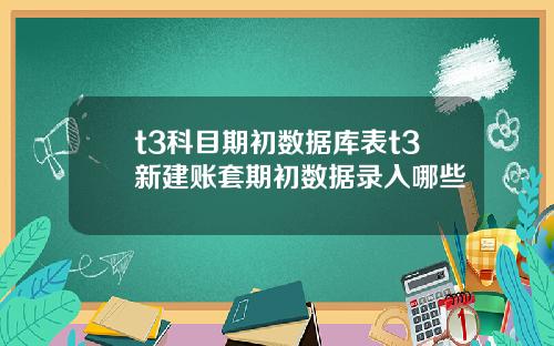 t3科目期初数据库表t3新建账套期初数据录入哪些