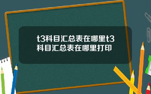 t3科目汇总表在哪里t3科目汇总表在哪里打印