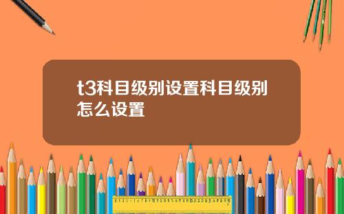 t3科目级别设置科目级别怎么设置