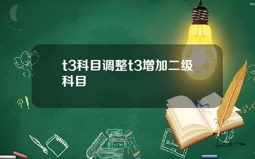 t3科目调整t3增加二级科目