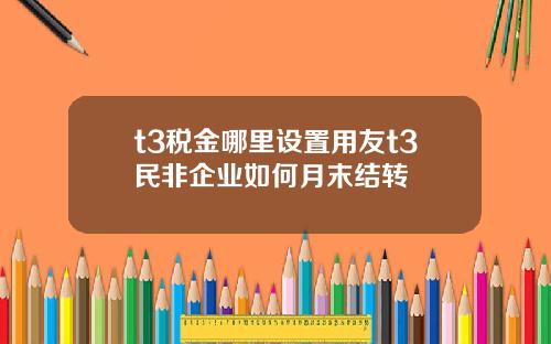 t3税金哪里设置用友t3民非企业如何月末结转
