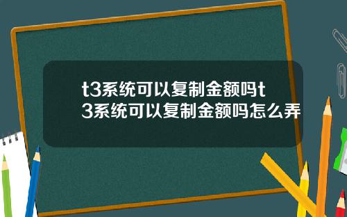 t3系统可以复制金额吗t3系统可以复制金额吗怎么弄