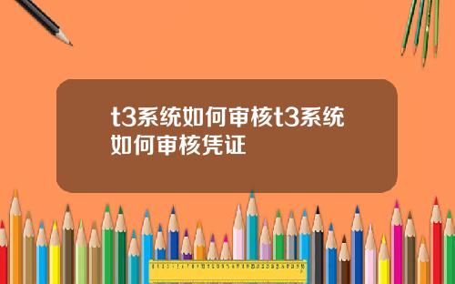 t3系统如何审核t3系统如何审核凭证