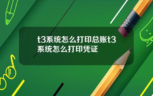t3系统怎么打印总账t3系统怎么打印凭证