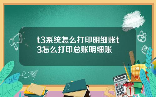 t3系统怎么打印明细账t3怎么打印总账明细账