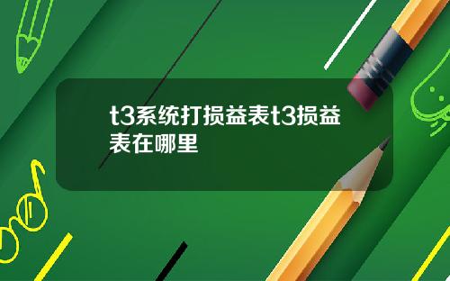 t3系统打损益表t3损益表在哪里
